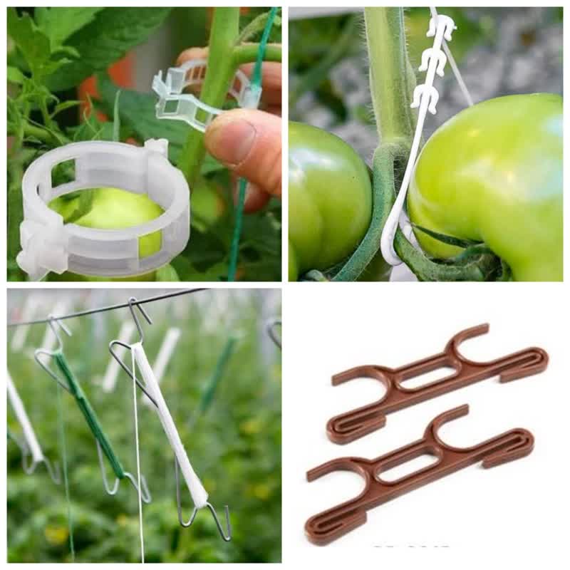 انواع گیره نگهدارنده بوته